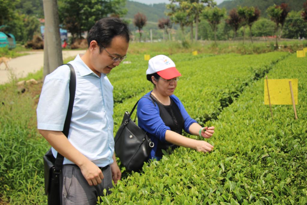 教师进农户，理论下基层——beat365体育官网登录入口全体党员教师赴英山县乌云山村学习调研